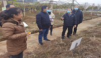 广西桂林农业学校开展实训基地、实验场所安全检查